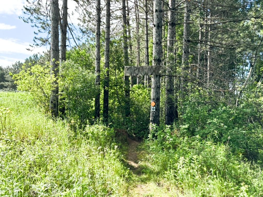 Mirkwood trailhead